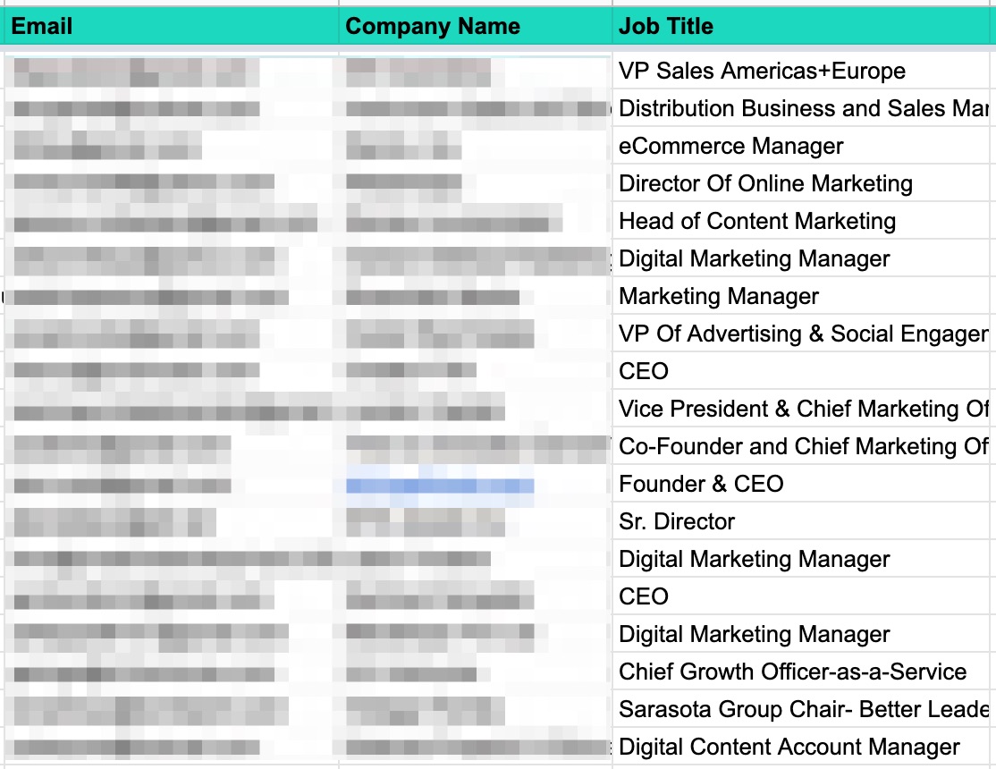 linkedin advertisement for software dev agency